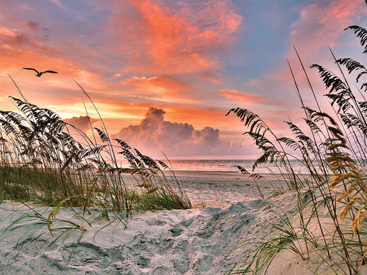 Dancing Sea Oats 550