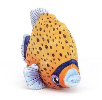 Fishful Orange