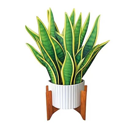 Snake Plant Freshcut Paper